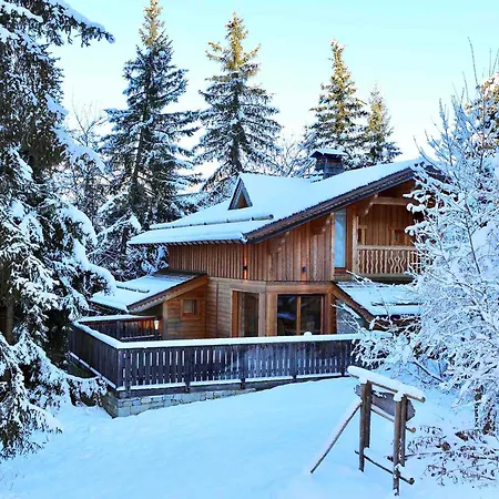 Moderne 5* A La Tania - 12 Pers, Jacuzzi, Sauna, Skis Aux Pieds, Cheminee, Cinema - Fr-1-575-154