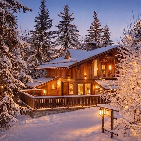 Chalet Moderne 5* A La Tania - 12 Pers, Jacuzzi, Sauna, Skis Aux Pieds, Cheminee, Cinema - Fr-1-575-154 Courchevel